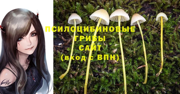 соль курить ск Алзамай