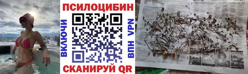 hydra tor  Ленинск-Кузнецкий  мориарти состав  закладки  Галлюциногенные грибы ЛСД 